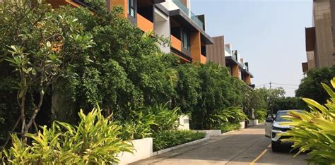 chiang mai apartments.